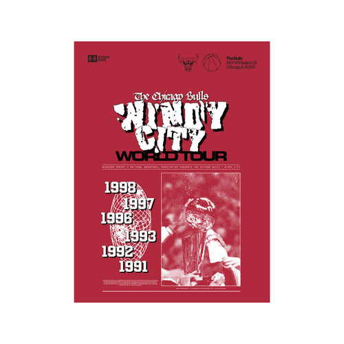 Bulls World Tour Poster